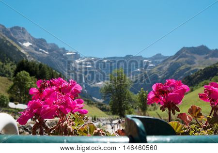 a view of Cirque de Gavarnie with flowers in the foreground