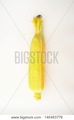 Fresh Corn With Cob