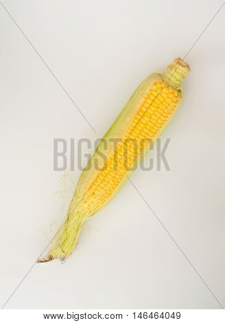 Fresh Corn With Cob