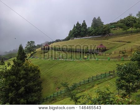 Cingjing farm (Qingjing) is the one of the most attractive tourist place in NantouTaiwan.People can seen exploring around it.