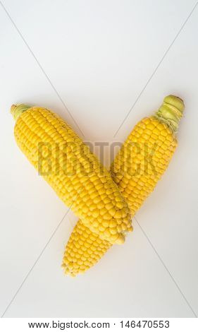 Fresh Corn With Cob