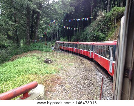 ALISHAN TAIWAN - MAY 4 2013 : Alishan forest train in Alishan National Scenic Area during spring season. People can seen exploring around it