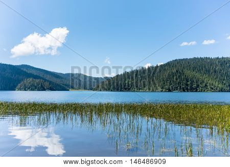 beautiful shudu lake and cloud reflection in the waterat an altitude of 3705 meters shangri-la county yunnan provincechina