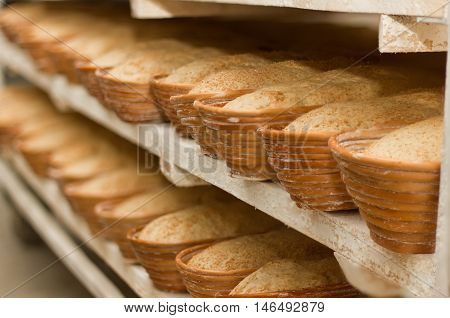 Proving dough of bran in basket. Private Bakery. Production of bread. Workshop of making bread.