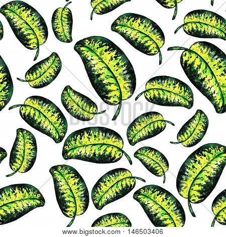 Seamless pattern of leaves. Watercolor paper. Background