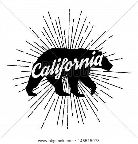 Vintage California bear with sunbursts. Vector Graphics and typography t-shirt design for apparel