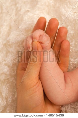 Father holding hand of a newborn cin his palm