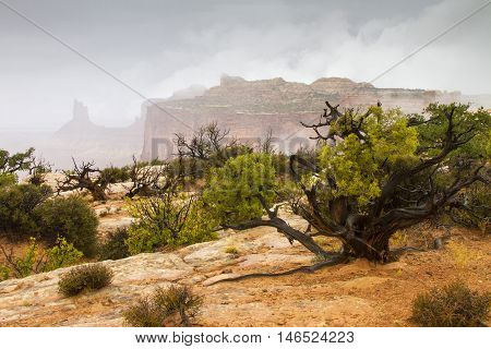 Fog and mist at the Island in the Sky section of Canyonlands National Park near Moab Utah