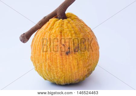 Close Up  Sentul Fruit Isolated On White Background.