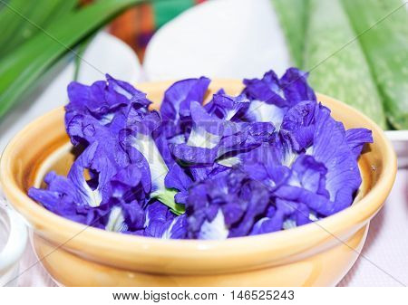 Fresh Butterfly Pea Flower Clitoria Ternatea On Bowl