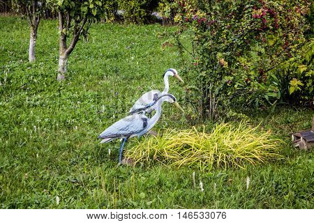 Standing on one leg stork bird isolated on white background