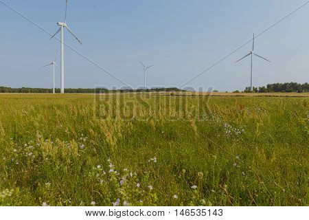 Windturbine At Sunny Day