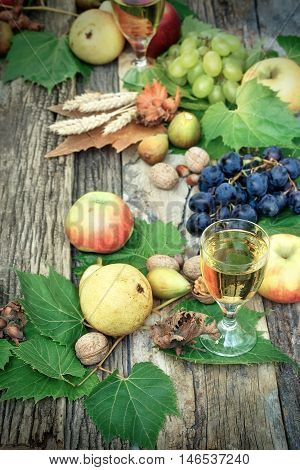 White wine and autumnal fruit - autumn decoration on rustic table