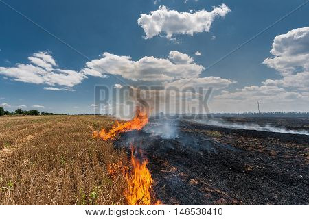 Fire burns stubble on the field destroy summer.