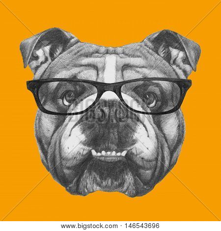 Hand drawn portrait of English Bulldog with glasses. Vector isolated elements.