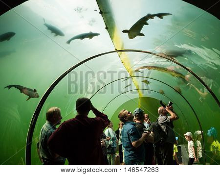 MODRA CZECH REPUBLIC - MAY 21 2016: Under water glass tunnel in botanical and freshwater exhibits Living Water - Modra on May 21 2016 South Moravia Region Czech republic