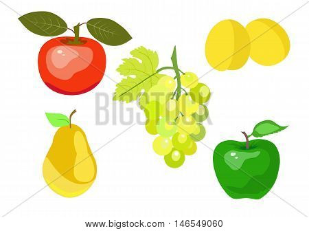 Vector illustration of summer juicy fruit on a white background