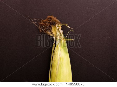 Unopened Fresh Corn With Cob on a Dark Background