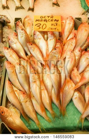 Red sea bream in the fish bazaar