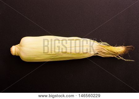 Unopened Fresh Corn With Cob on a Dark Background