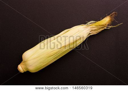 Unopened Fresh Corn With Cob on  a Dark Background