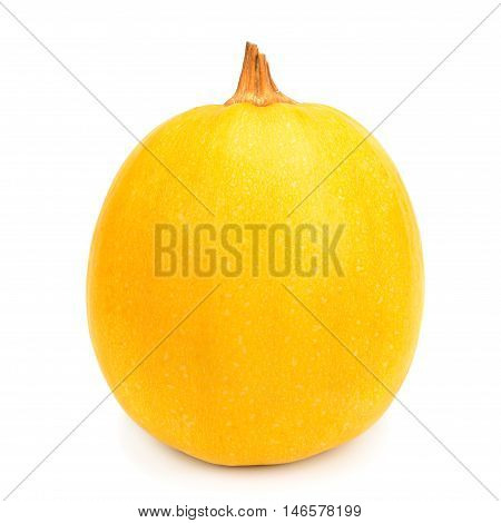A ripe pumpkin isolated on white background