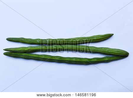 Horse radish tree Drumstick on white background