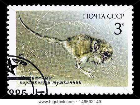 Ussr - Circa 1985