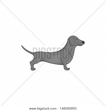 Dachshund dog icon in black monochrome style isolated on white background. Animals symbol vector illustration