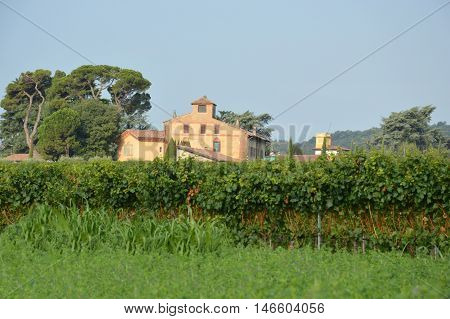 Ancient farm estate with its vineyards in the countryside of Brescia - Italy