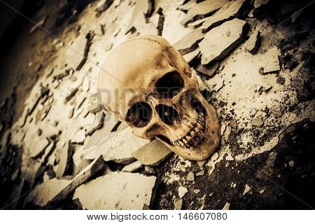 Human skull on ruins place,Horror Background For Halloween Concept And Movie Poster Project