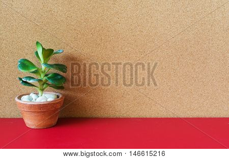 A picture of decorating cactus on red table cork board background
