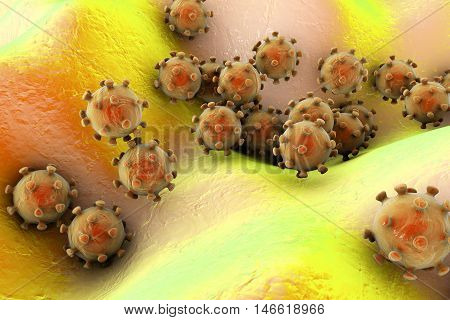 Viruses on the surface of skin or mucous membrane, 3D illustration