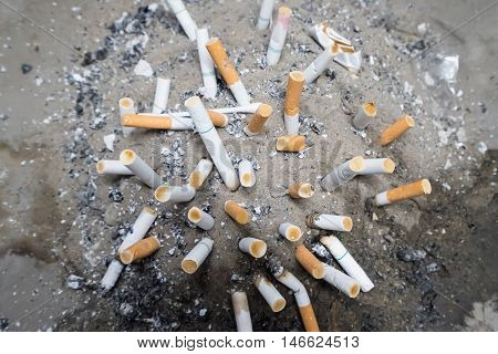 Smoked Cigarettes Butts in sand ashtray bin.Selective focus