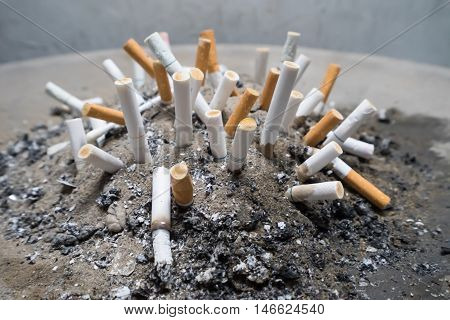 Smoked Cigarettes Butts in sand ashtray bin.Selective focus