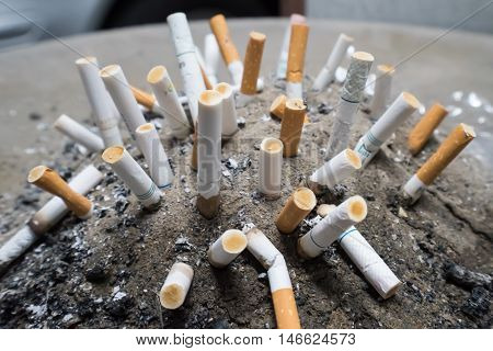 Smoked Cigarettes Butts in sand ashtray bin.Selective focus