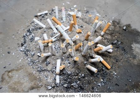 Smoked Cigarettes Butts in sand ashtray bin.Selective focus
