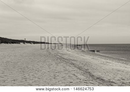 Beach and Sand Dune. Beach and sand dune covered with Marram Grass, Germany, Sylt, List. Juli 2016