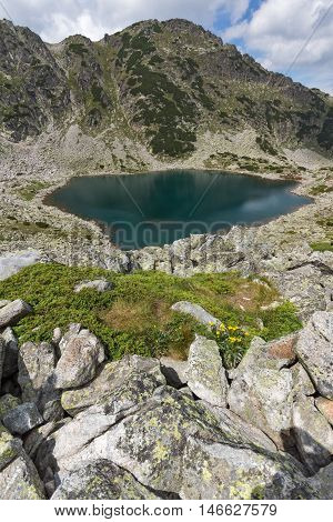 Panoramic view of Musalenski lakes and yellow flores, Rila mountain, Bulgaria