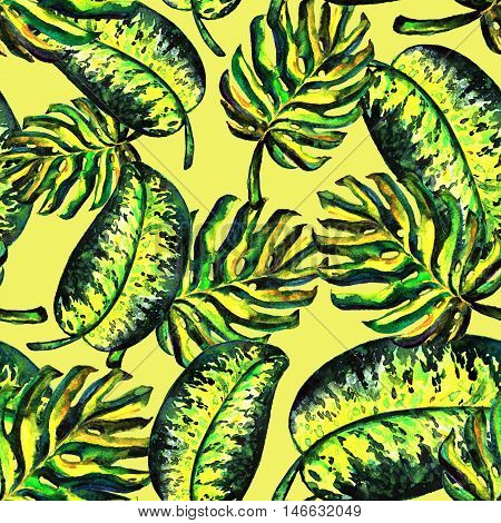 Seamless pattern of leaves monstera. Watercolor sheet