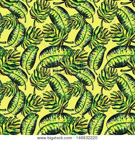Seamless pattern of leaves monstera. Watercolor sheet
