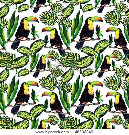 Seamless pattern of leaves monstera and Toucan. Watercolor sheet