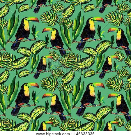Seamless pattern of leaves monstera and Toucan. Watercolor sheet