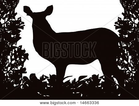 Wasserbock In isolierten Bush Rahmen Vektor
