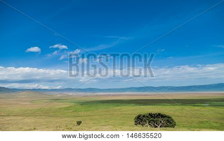 The Ngorongoro Conservation Area (NCA) is a conservation area and a UNESCO World Heritage Site located 180 km west of Arusha in the Crater Highlands area of Tanzania.