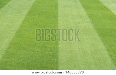 Greensward field background and wallpaper, football background