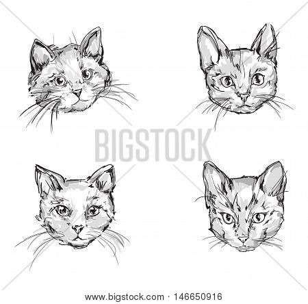 cute cat sketch vector illustration, vector pet, kitten, cute cat set sketch vector illustration