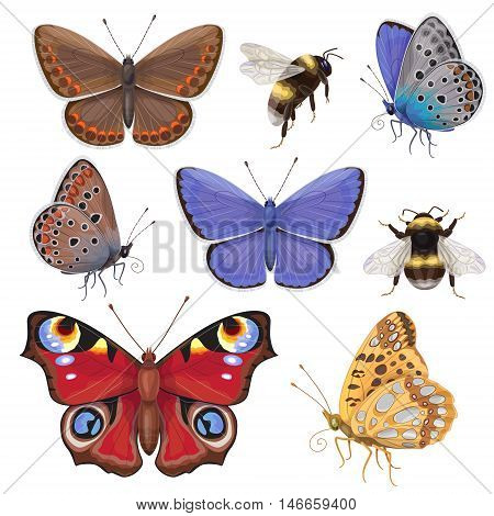 Set of butterflies and bumblebees isolated on white. Top and side view colorful insects.