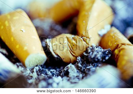 A closeup of cigarette butts snubbed and left in a tray of ash.