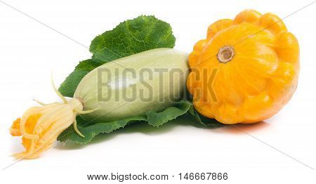 zucchini and pattypan with flower and leaf isolated on white background.